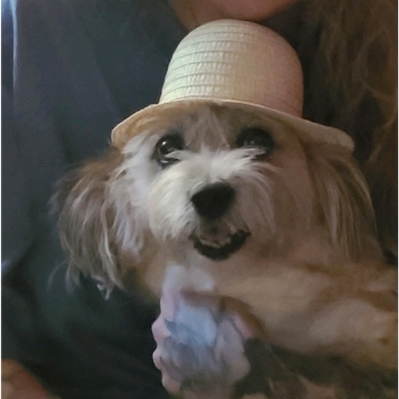 Meet your Posher, Tracy - Picture 11 of 12